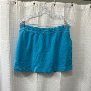 American Eagle Outfitters Blue Mini Skirt